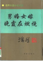 男婚女嫁  又名，山水情  晚霞在燃烧