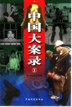 中国大案录  1