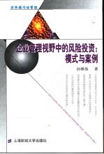 企业管理视野中的风险投资  模式与案例