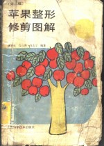 苹果整形修剪图解