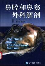 鼻腔和鼻窦外科解剖