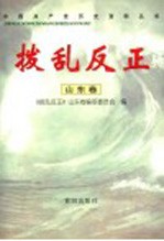 拨乱反正  山东卷