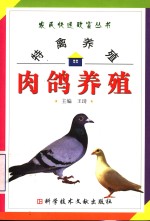 特禽养殖  肉鸽养殖