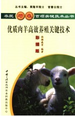 优质肉羊高效养殖关键技术  彩插版