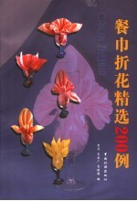 餐巾折花精选200例