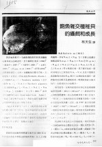 鲍鱼杂交种稚贝的摄饵和成长