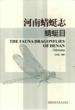 河南蜻蜓志  蜻蜓目