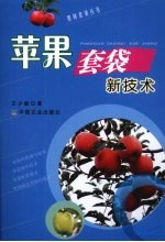 苹果套袋新技术