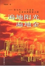 遍地阳光遍地金  得与失  一个成功企业家的财富之路