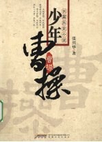 少年曹操 电子书封面