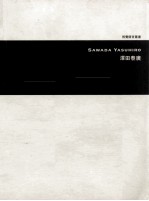 视觉语言丛书  泽田泰广