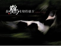 仙鹤飞翔的地方中国鹤城  齐齐哈尔