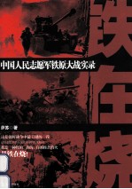 铁在烧  中国人民志愿军铁原大战实录