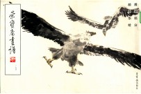 荣宝斋画谱  174  鹰鹫部分