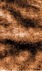 闺媛典  卷319-325