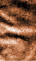 闺媛典  卷326-332