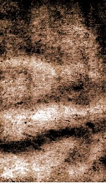 闺媛典  卷333-338