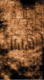 章氏丛书  荘子解故  管子馀义