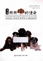 天使狗狗的使命