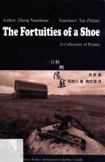 一只鞋的偶然  诗歌集