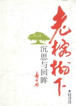 老榕树下  沉思与回眸