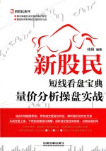 新股民短线看盘宝典  量价分析操盘实战