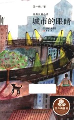 王一梅童书  经典长篇小说  城市的眼睛