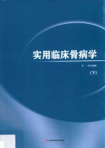 实用临床骨病学  下