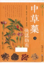 中草药快认指南  上