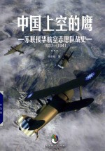 中国上空的鹰  苏联援华航空志愿队战史1937-1941