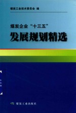 煤炭企业“十三五”发展规划精选