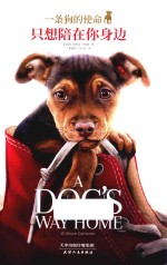 只想陪在你身边  一条狗的使命