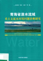 青海省湟水流域  重点支流水环境问题诊断研究