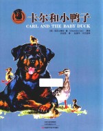 卡尔和小鸭子