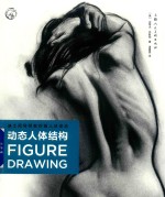 动态人体结构  迪士尼导师教你画人体姿态