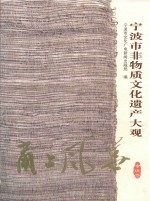 甬上风华  宁波市非物质文化遗产大观  余姚卷