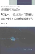 煤泥水中微细高岭石颗粒表面水化作用机理及聚团分选研究