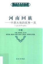 河南回族:中原大地的优秀一员  文史资料选编  中