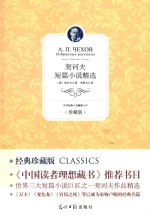 光明岛  契科夫短篇小说精选  经典珍藏版