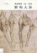 莱昂纳多·达·芬奇  解构人体