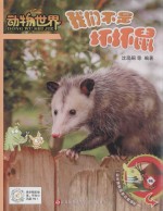 动物世界  我们不是坏坏鼠