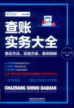查账实务大全  查证方法、实施方案、案例精解