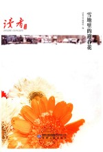 雪地里的迎春花