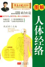 图解人体经络
