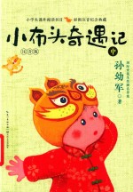 小布头奇遇记  中  注音版