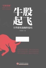 牛股起飞  主升浪实盘操作技巧