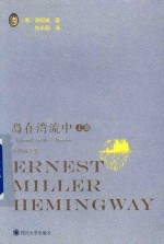 岛在湾流中  上