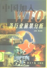 中国加入WTO各行业前景分析