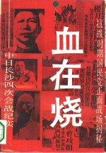 血在烧  中日长沙四次会战纪实