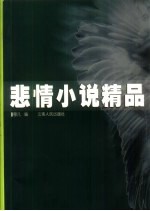 悲情小说精品
